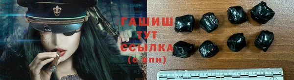 прущие грибы Верхнеуральск
