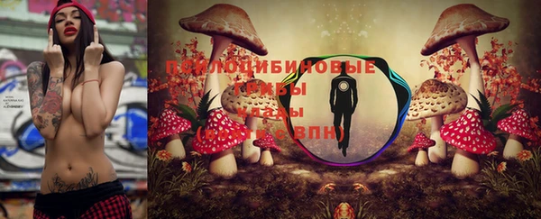 хмурый Верхний Тагил